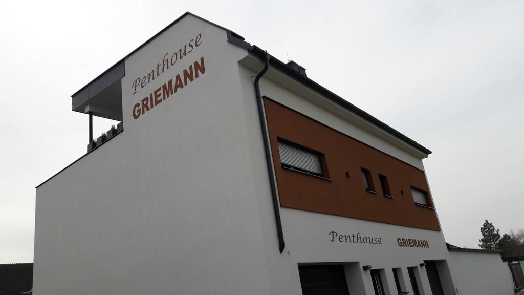 Penthouse Griemann 2 Fuer Max 4 Personen Mit Eigener Grosser Dachterrasse Zum Relaxen! Illmitz Eksteriør bilde